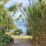 Rapanui * Santa Marina Salina