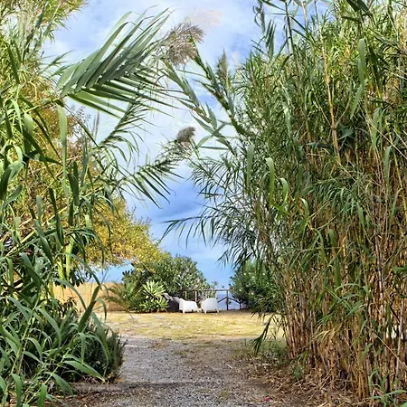 Rapanui * Santa Marina Salina